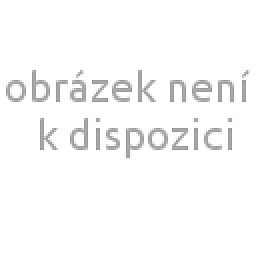 Obrázek produktu ACCUD 111-012-18W DIGITAL CALIPER 300mm/12" WITH WIRELESS DATA TRANSFER ( 0.01mm/0.0005" )