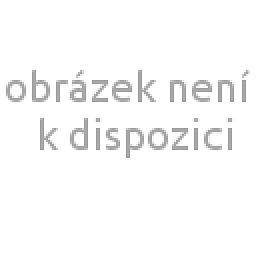 Obrázek pro produkt ACCUD 535-1500-01 WHITWORTH PIPE THREAD RING GAUGE (G SERIES),GO / G1-1/2”-11 /